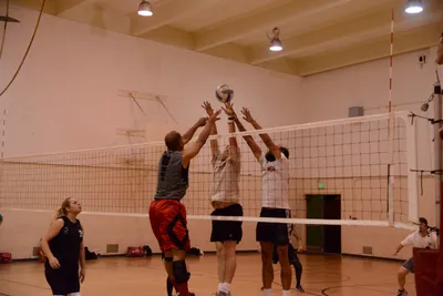 DSC_1818 (Large).JPG